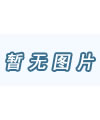 莱德·翰威斯
